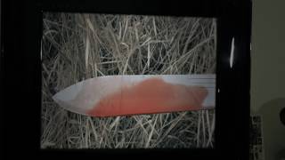 Schlachthofbronx - Goodbye feat. Gonjasufi (official video)