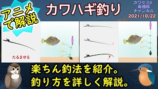 【アニメで解説:カワハギの釣果UPのコツ】疲れない釣り方、仕掛け、餌付け