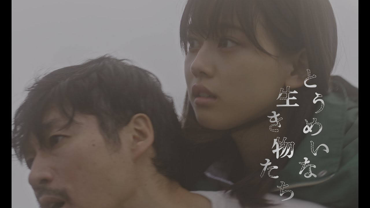 『とうめいな生き物たち』特報