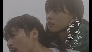 『とうめいな生き物たち』特報