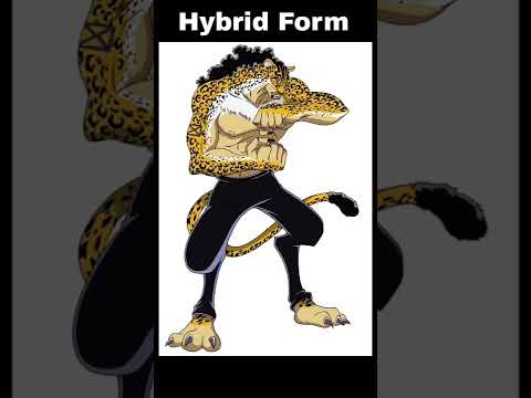 All Rob Lucci Forms #shorts #RobLucci  #fyp #forms #onepiece #moviecp0 #super #pure #jdandju