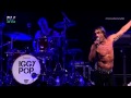 Iggy Pop - Dum Dum boys - 2015 Brasil