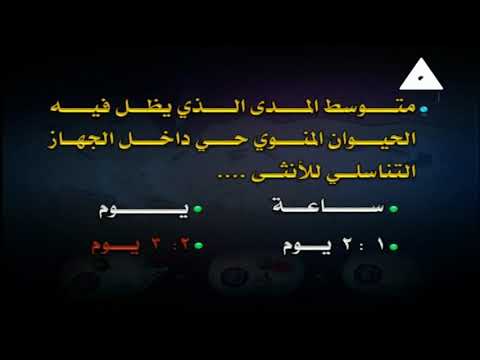 أحياء 3 ثانوي ( مراجعة 2 على التركيب و الوظيفة في الكائنات الحية ) أ عصام حنفي 02-04-2019