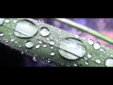 HNRK & KODYAK - GEOSMIN EP [Full EP Official Video]