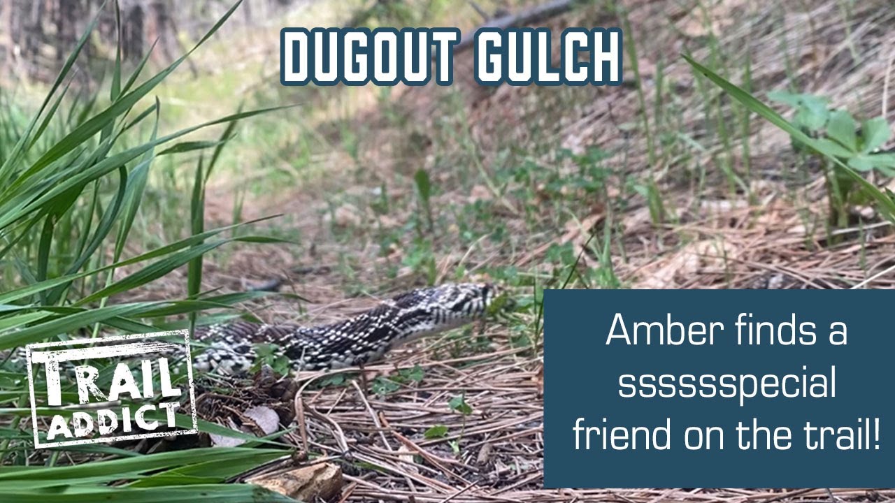 Dugout Gulch - Beulah, WY