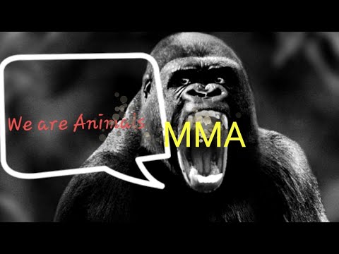 UFC 236 BREAKDOWNS