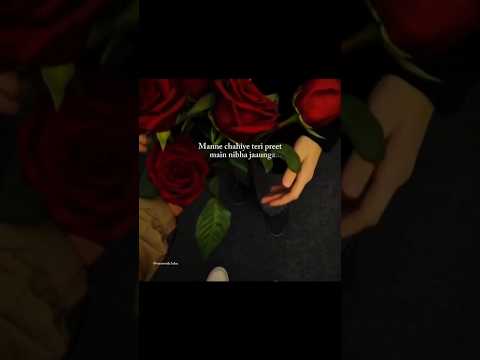 🎶 Bairan ~ (Banjare) ✨| Bairan Song Lyrics