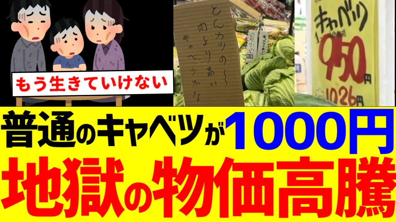 「もう限界です」物価高で食べるものがない...苦しむ物価高　この物価高はいつまで続くのか　ニュース　ゆっくり解説　時事ニュース