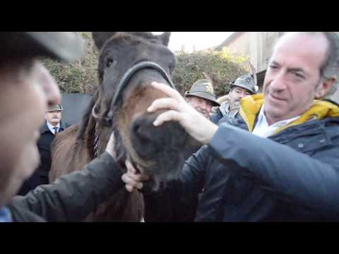 Compleanno Iroso, l'Alpino a quattro zampe più longevo della storia