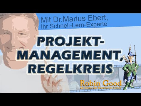 Projektmanagement, Regelkreis