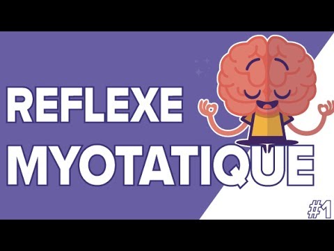 The Myotatic Reflex #1 - SVT Terminales S - Mathrix