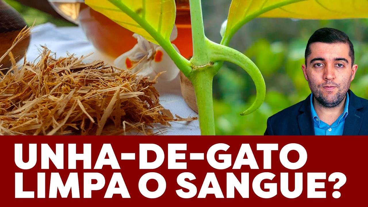 Unha-de-gato quebra coágulos de sangue e acaba com veias entupidas da trombose? Cura má circulação?