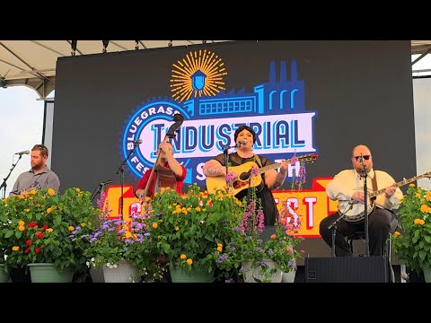 Less and Less - Red Camel Collective