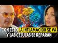 Inflammation Expert This Clears Inflammation Repairs Cells And Lowers Cortisol
