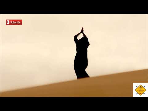 Hatef Mehraban - Black Rain