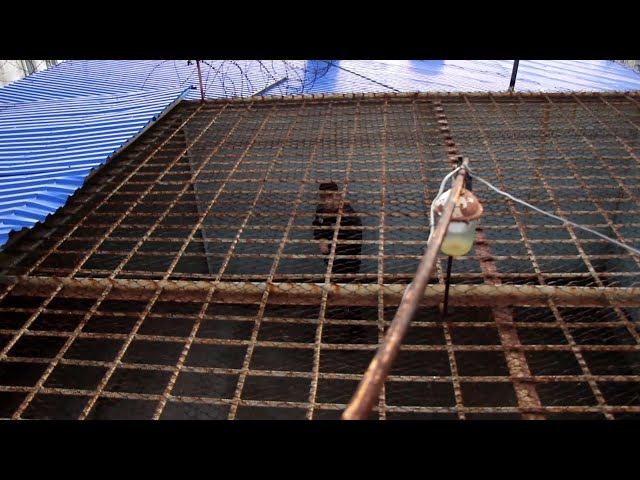 Шестеро ангарчан получили сроки за нападение на мужчину, шедшего на свидание