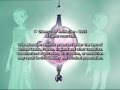W I T C H End Credits Version 4 UK English HD