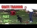 Crate Training- Part 1- Dog Training