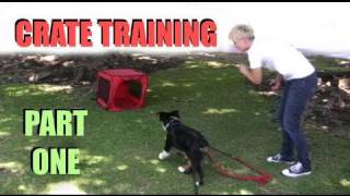 Crate Training- Part 1- Clicker dog Training