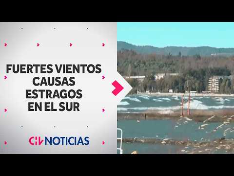 Rachas de vientos en el sur provocan caos con árboles y fuerte oleaje en el Lago Villarrica
