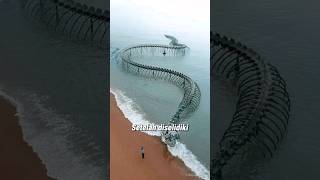 Download lagu SEEING THE GIANT SNAKE CARCAGE mp3