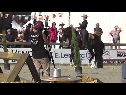 World Championship Working Equitation 2022 in les Herbiers maniabilitè Mendes Mafalda on ISCO