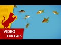Movie For Cats Shoal Of Gold Fish Video For Cats 4K