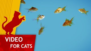 Download lagu Movie for Cats - 🐟 Shoal of Gold Fish (Video for Cats) 4K mp3