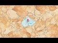 KOKI EPISODE 1