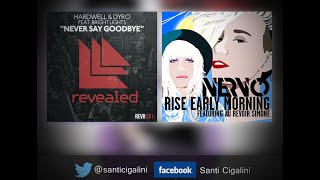 Hardwell & Dyro - Never Say Goodbye .vs. Rise Early Morning - NERVO (santicigalini Mashup)