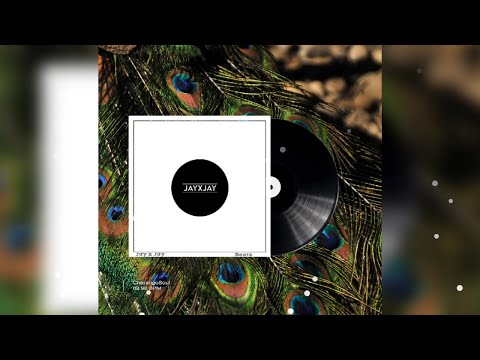 [FREE] CharangoSoul | Coast Contra Type Beat | Lofi | Afrobeat | Indie Hip-Hop | Reggaeton Type Beat