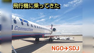 機外眺めてみた（NGO✈SDJ）