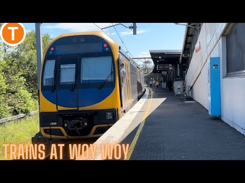 Zaid train vlogs: Trains at Woy Woy