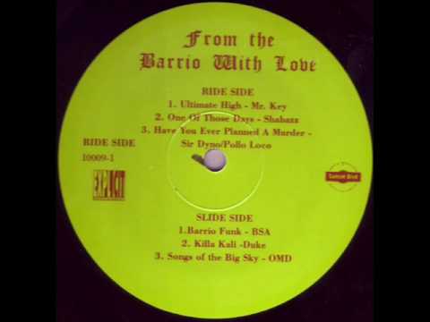 Of Mexican Descent - Songs of the big sky