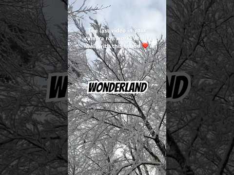 Wonderland🇨🇭 #explore #snow #winter #trending #viral #nature #viralshorts #beautiful #toptrending