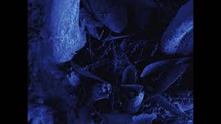 Deathlike Silence - Deathlike Silence (Full EP)