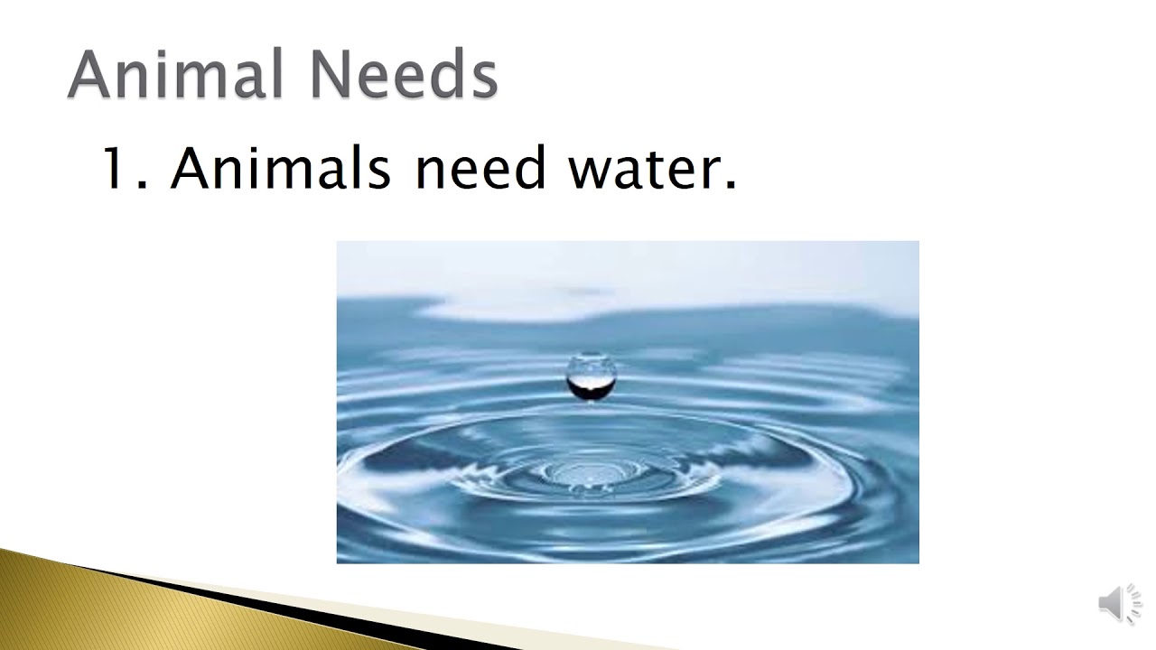 Basic Science Week 3 Power Slides