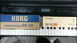 Video thumbnail for Korg DS-1H & Roland DP-10 Damper Pedals Unboxing & Review (Tagalog) by Tagalog Piano