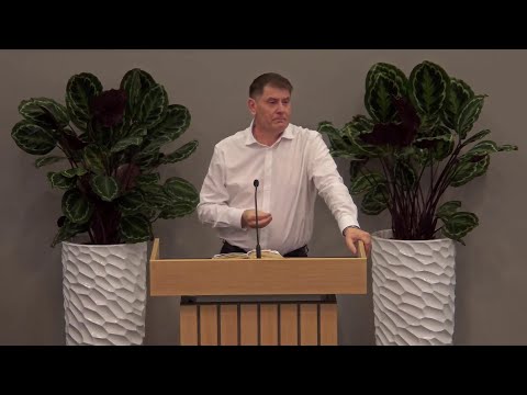 Ionică Jijie - Ce înseamnă să mergi pe drumul spre Emaus?