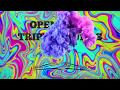 Brain on Drugs - Visual Concept - Kottonmouth Kings