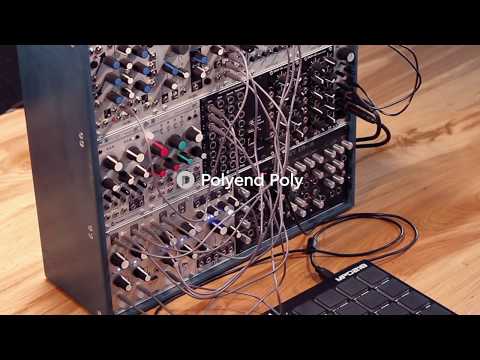 Polyend Poly Module in Use