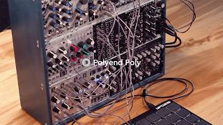Video thumbnail for Polyend Poly Module in Use by Polyend