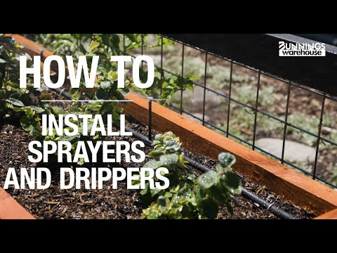 How To Install Irrigation Sprayers And Drippers - Bunnings Warehouse