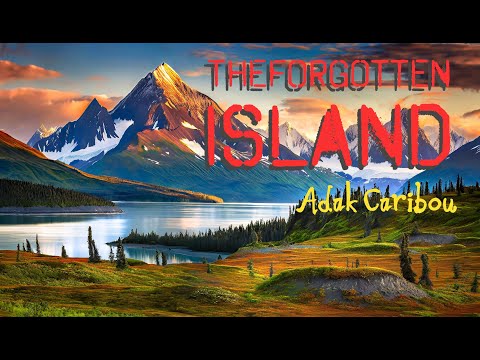 The Forgotten Island: Adak Alaska Caribou