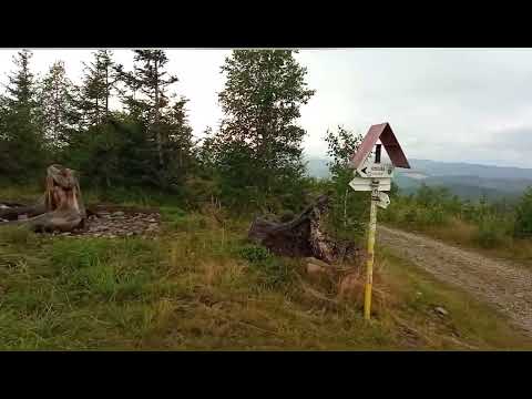 SNP deň č.7 Utulna Uhrova - utulna Galova