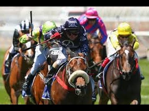 2013 VRC Coolmore Stud Stakes ( Set To Music )