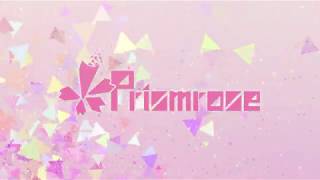 Cover art for Primrose