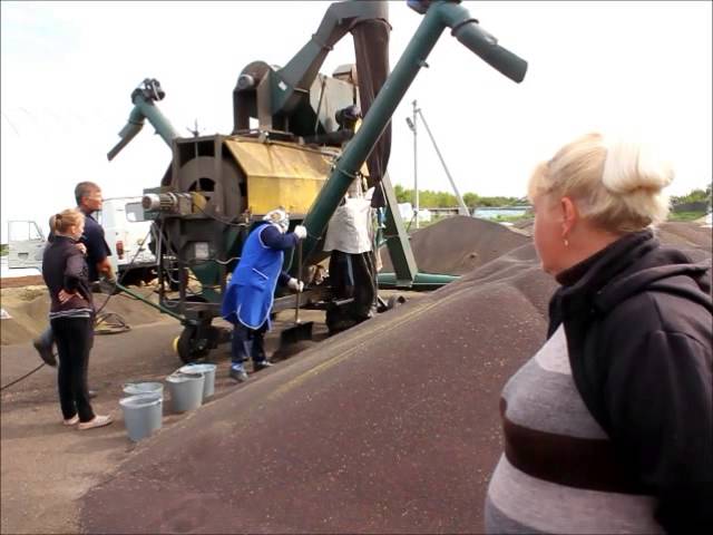 Хлеборобы Тетюшского района намолотили 79106 тонн зерна