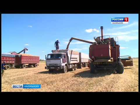 Вести «Калмыкия»: выпуск 28.08.2017 на калмыцком языке