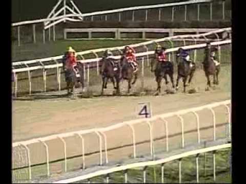 corsa capannelle golden white